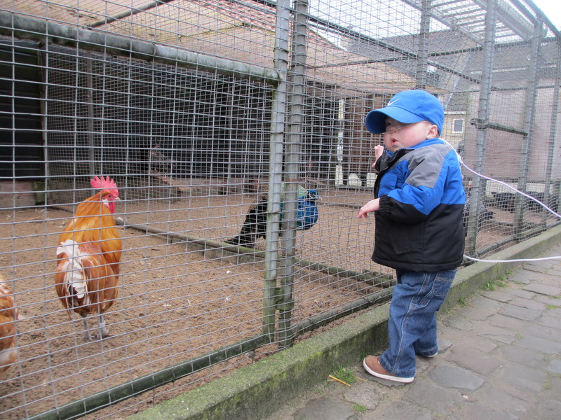 Naar de kinderboerderij