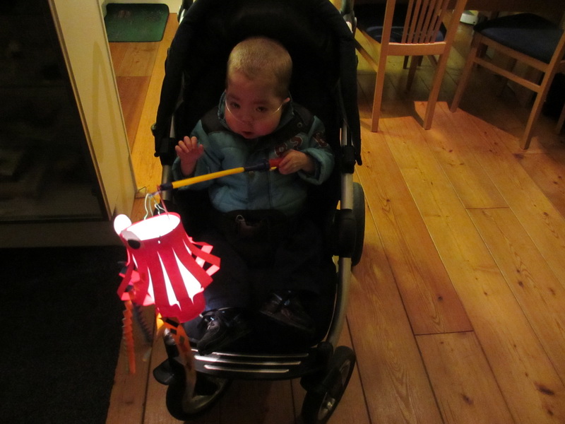 11 november is de dag