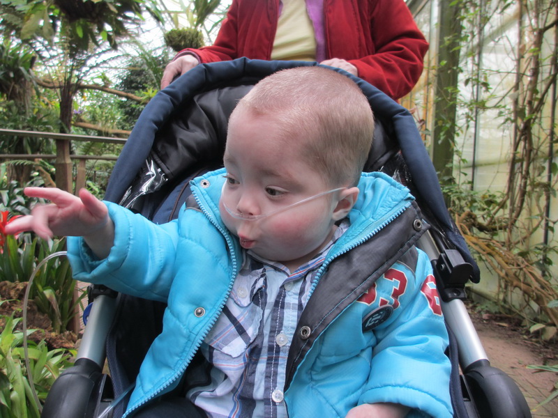 Naar orchideeenhoeve